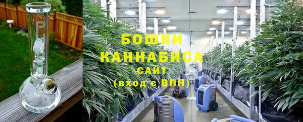 apvp Арсеньев