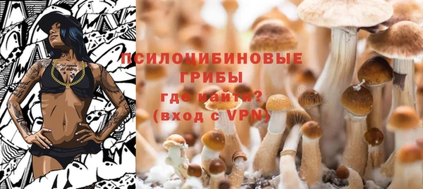 apvp Арсеньев