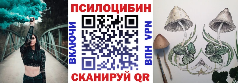 Псилоцибиновые грибы прущие грибы  как найти наркотики  Мценск 